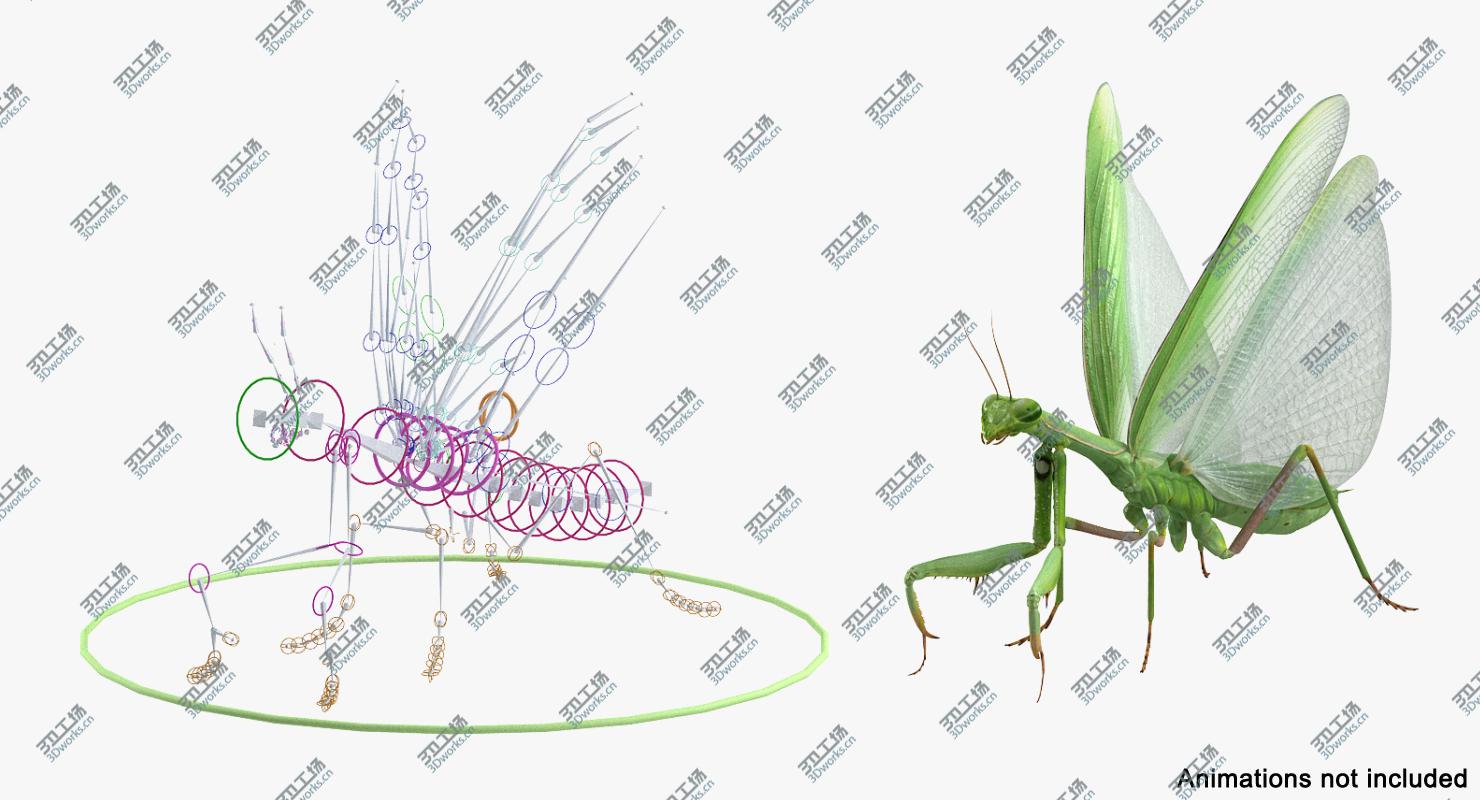 images/goods_img/2021040161/European Mantis Rigged 3D model/5.jpg